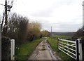 Track to Gills Farm, Epping Green