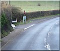 Watcombe Beach Rd off Teignmouth Rd