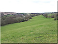 Long field above Hawksworth Gill