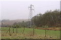 Pylon at Carsfad