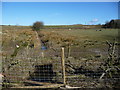 Issue-fed stream near Glebe Farm