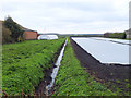 Drainage ditch between Gravel Farm and Bungalow Farm