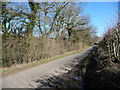 The road to Sunderland (Allerdale, Cumbria)