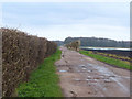 Common Lane near Ring Ditch