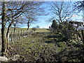 Field entrance, just north of Sunderland