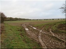 SU5849 : Great Wildcroft Field (20.5 acres) by Mr Ignavy