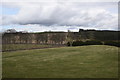 Looking north-east from Kinnernie kirkyard