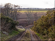 NH5950 : Track from Parkton by valenta