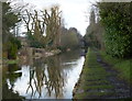 Towpath along the Rushall Canal in Walsall
