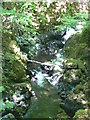 Waterfall on the Clywedog, Torrent Walk