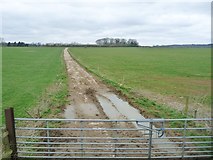 ST6642 : Farm track heading  north-west, west of Cranmore by Christine Johnstone