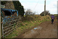 Path at Tregardock