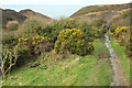 Path from Tregardock