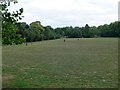 Football pitch at Bishop