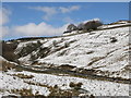 The valley of Killhope Burn above Low Allers