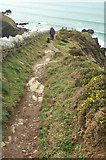 SX0383 : Coast path above Jacket's Point by Derek Harper