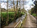 River Sid at Sidbury