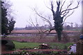 View of the tidal Chelmer from Beeleigh Abbey Gardens