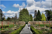 S6336 : Walled Garden by kevin higgins