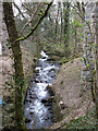 River Wallabrook at Tavistock, Devon