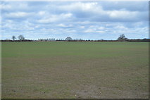 TL4169 : Cadwin Field by N Chadwick