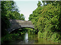 Bridge No 51A near Newbold on Avon