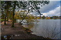 Petersfield : Heath Pond