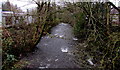 White water on the Afon Lwyd, Pontypool