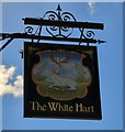 The sign of the White Hart