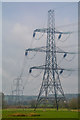 East Devon : Grassy Field & Pylons