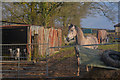 East Devon : Horses Grazing