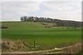 Looking towards Punch Bowl and The Belt from the foot of Whipperstall Hill