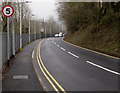 SO2900 : 5mph speed limit on the access road to Pontypool & New Inn railway station by Jaggery