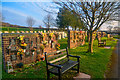 Honiton : St Michael Churchyard