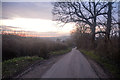 East Devon : Hayne Lane