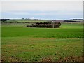 Over  fields  to  Willy  Howe  Farm