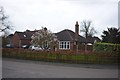 Bungalow with Magnolia