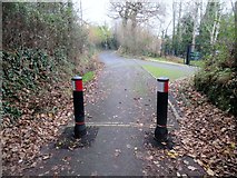 SX9093 : Bollards in Exwick Lane by Peter Holmes
