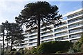 Apartment block, Torbay Rd