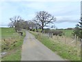 Driveway and cattle grid to Witton Shields Farm