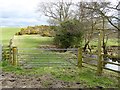 Footpath beside the Tod Burn