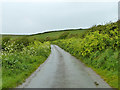 Lane towards B3301