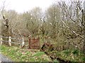 Footbridge over Trewitley Burn