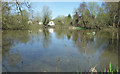 Pond behind Dagley Lane