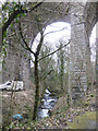 Viaduct and the River Wallabrook at Tavistock