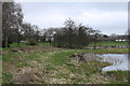 Edge of Carlingwark Loch