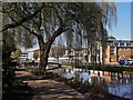 Hemel Hempstead Water Gardens