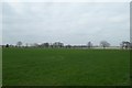 Farmland near Woodside Farm