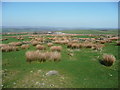 View towards Bradshaw head from Sentry Hill, Oxenhope