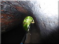 SJ4134 : Ellesmere Tunnel on the Llangollen Canal by Eirian Evans